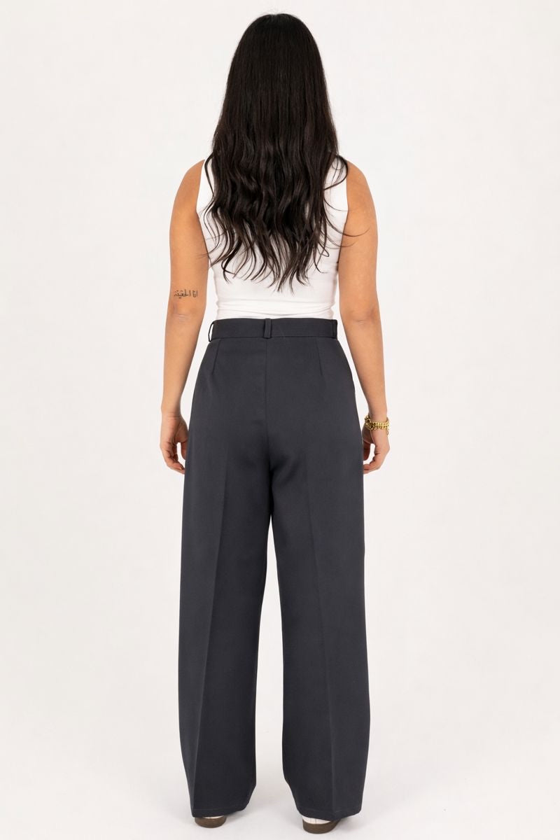 Wide-Leg Modern Pleated Pants