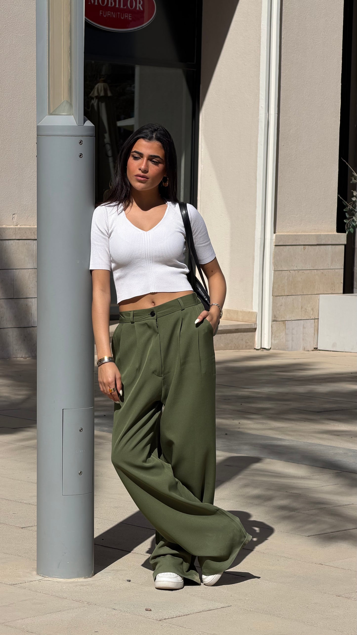 Wide-Leg classic Pants